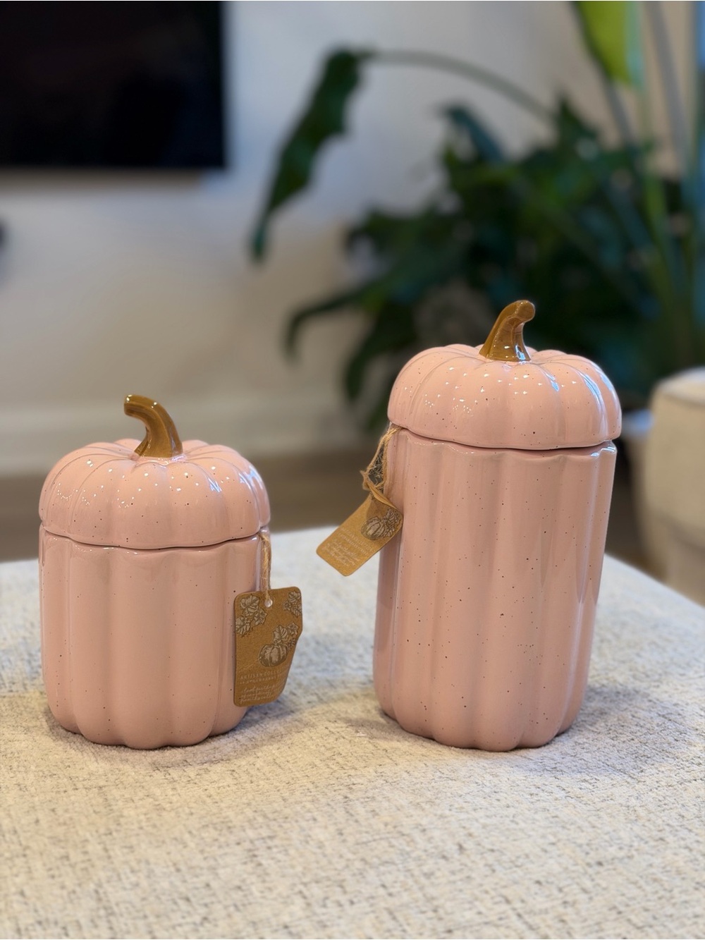 10 Strawberry Street Artisan Pink Speckled Pumpkin Cookie Jars Set of 2 8"